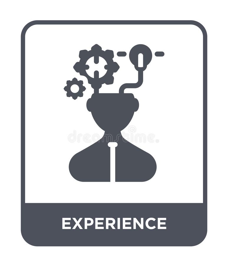 Professional experience Professional experience