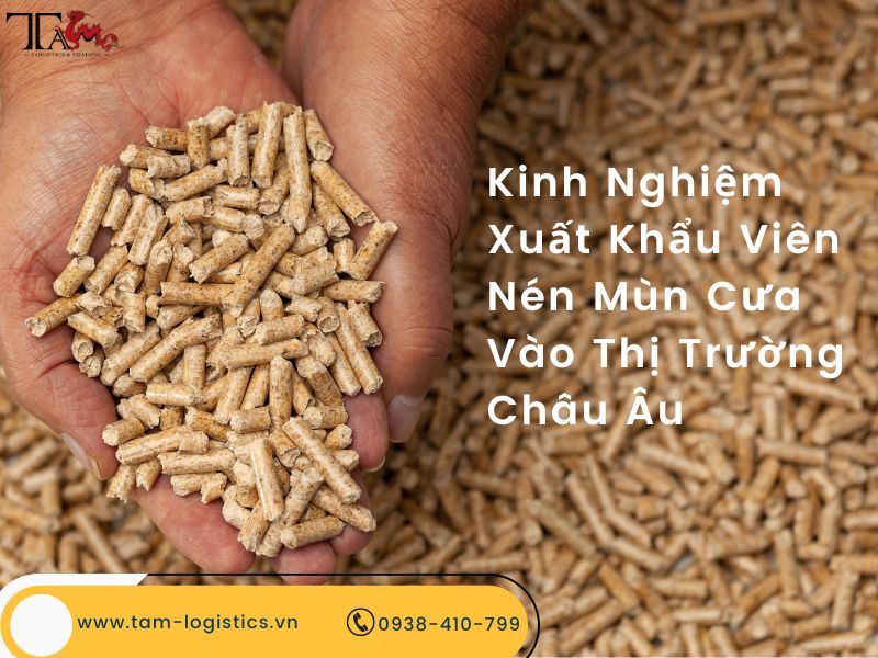 kinh nghiem xuat khau vien nen mun cua vao thi truong Chau Au