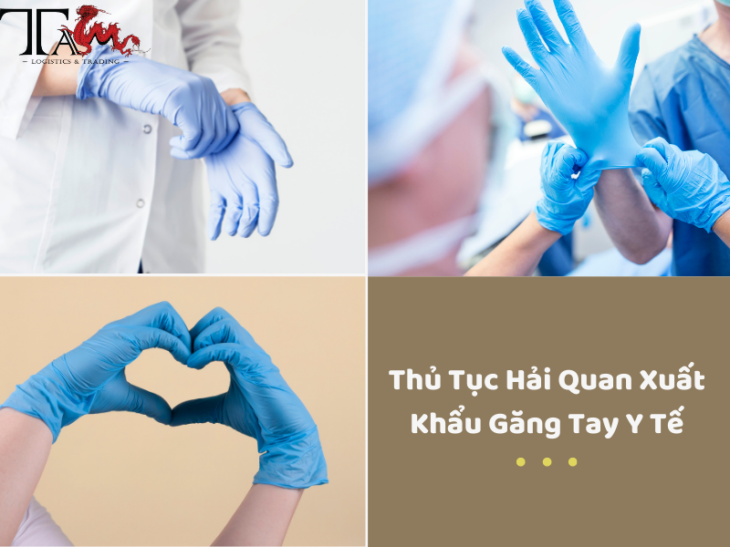 Thủ Thục Hải Quan Xuất Khẩu Găng Tay Y Tế Thủ Thục Hải Quan Xuất Khẩu Găng Tay Y Tế