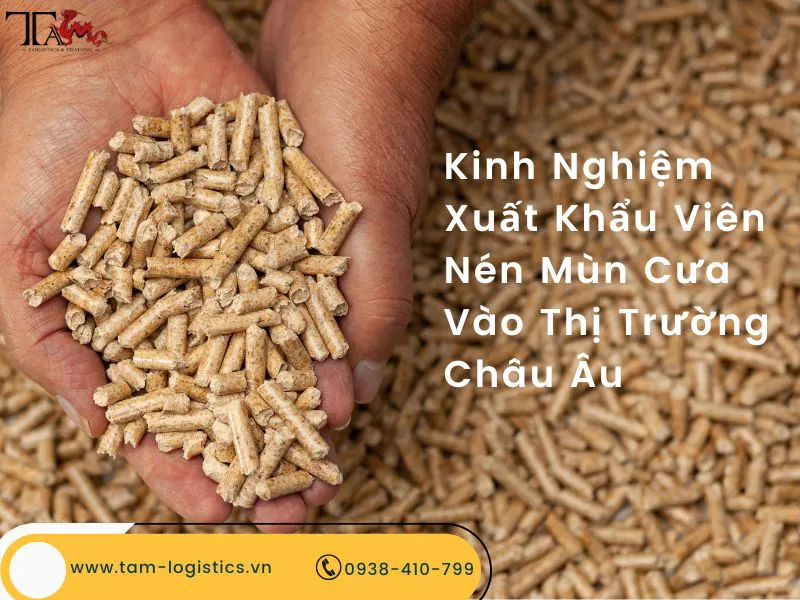 Kinh Nghiệm Xuất Khẩu Viên Nén Mùn Cưa Vào Thị Trường Châu Âu