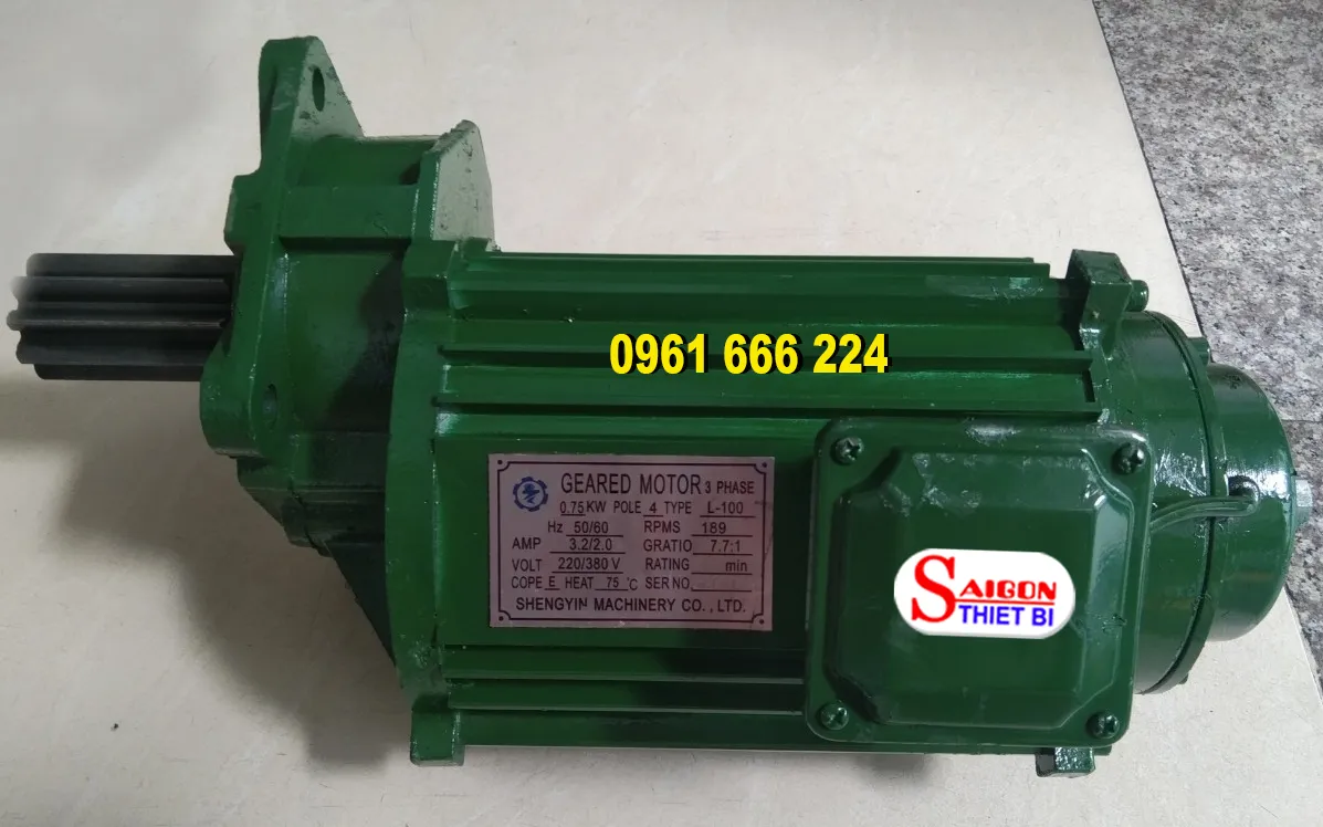 Motor dần biên cầu trục Sheng yin