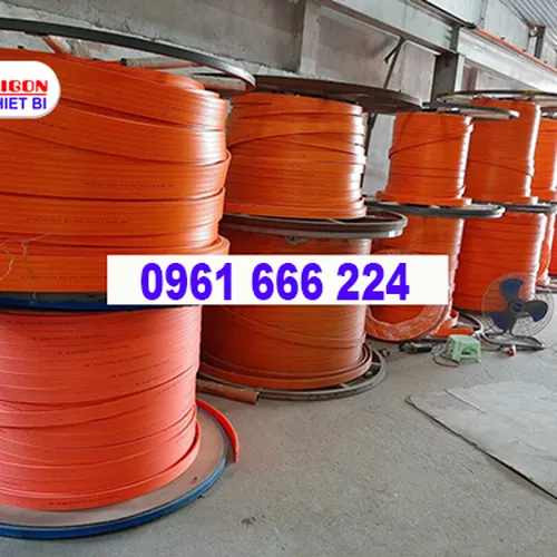 Ray điện cầu trục 4P50A