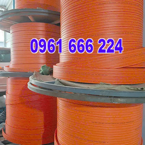 Ray điện an toàn cầu trục 6P100A