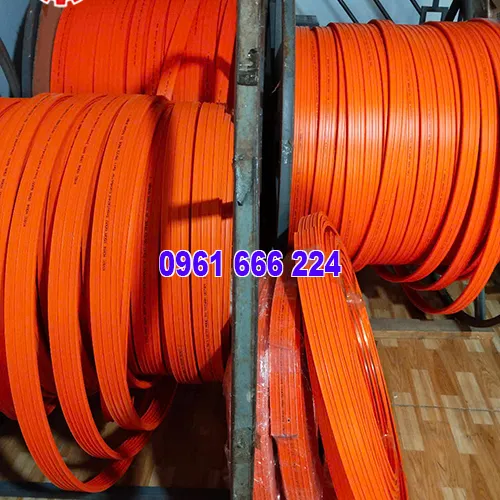 Ray điện an toàn cầu trục 6P100A