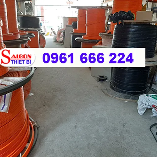 Ray điện an toàn 3P100A