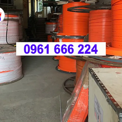 Ray điện cầu trục 3P50A