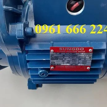 Mô tơ dầm biên Sungdo 1.5kw