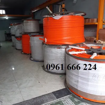 Ray điện cầu trục 3P-50A