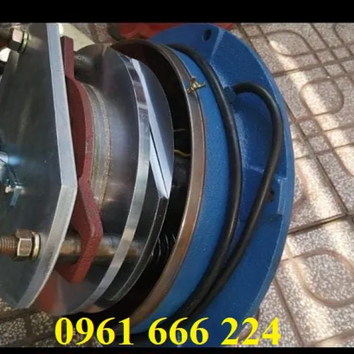 Đĩa thắng cầu trục