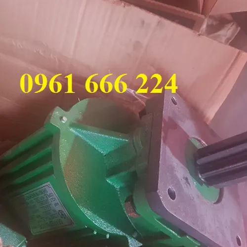 Mô tơ dầm biên 0.75kw Sheng yin L-100