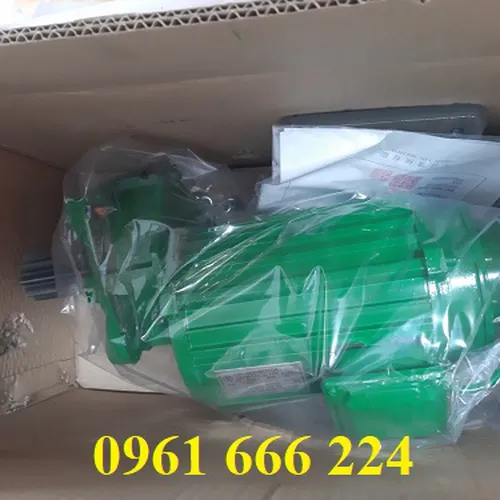Mô tơ dầm biên 0.75kw Sheng yin L-100