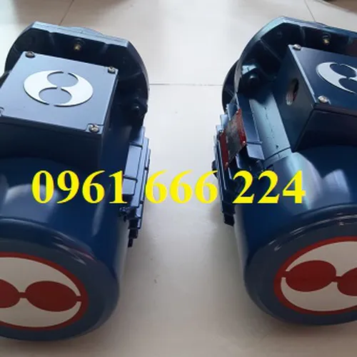 Mô tơ dầm biên cầu trục 0.75kw