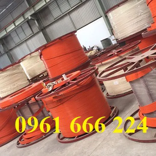 Ray điện cầu trục 3P-50A