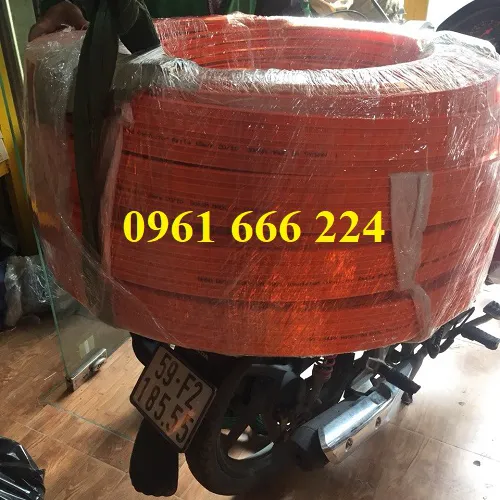 Ray điện cầu trục 6P-50A