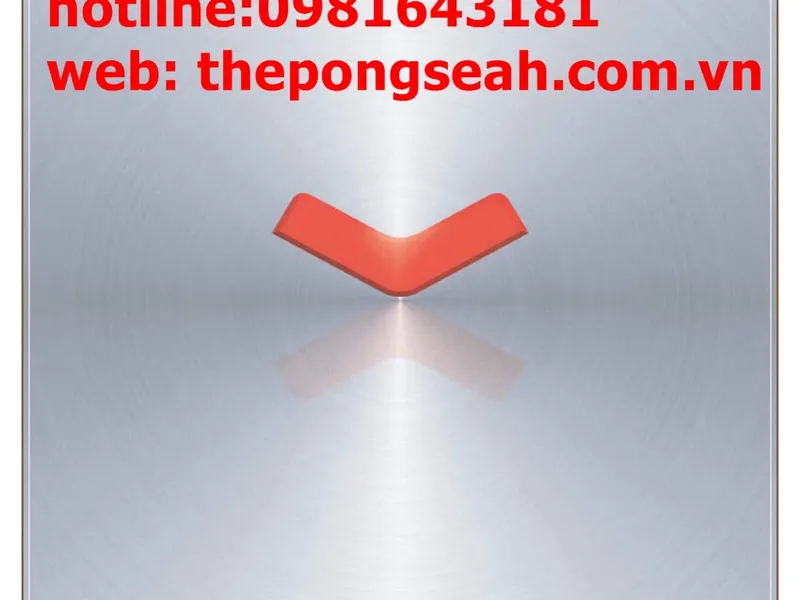 Catalogue ống thép seah
