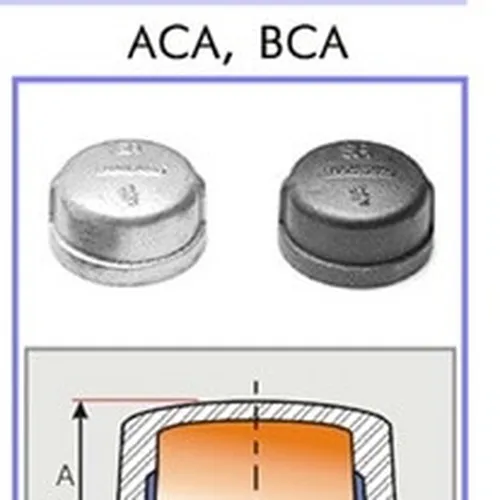 Nắp bịt ren trong Siam Thái Lan