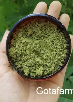 Bột Bạc hà Siêu Mịn