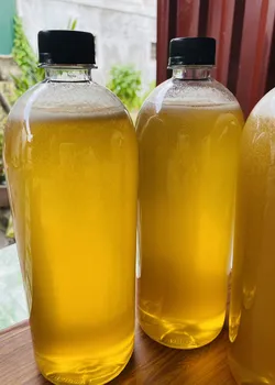 Mật ong Cỏ Kim nguyên chất