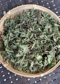 Bạc hà thái khúc sấy khô