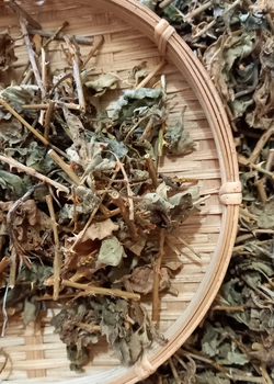 Cà gai leo sấy khô 100gr