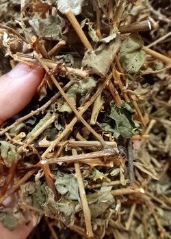 Cà gai leo sấy khô 100gr