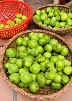 Quả chay chua sấy khô