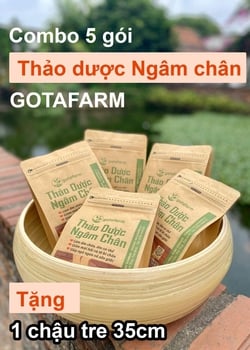 Combo 5 gói Thảo Dược Ngâm Chân (tặng chậu tre 35cm)