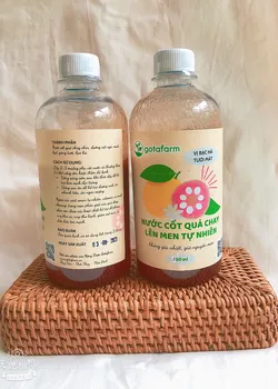 Nước cốt quả Chay lên men