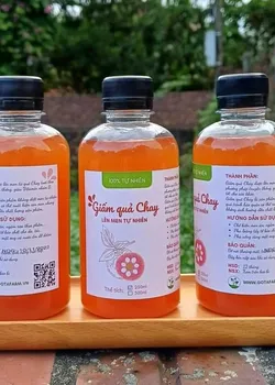 Dấm quả Chay Chua