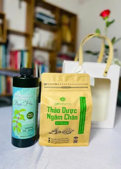 Thảo Dược Ngâm Chân