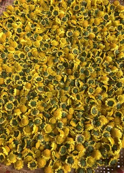 Trà Hoa Cúc Cổ Gotafarm