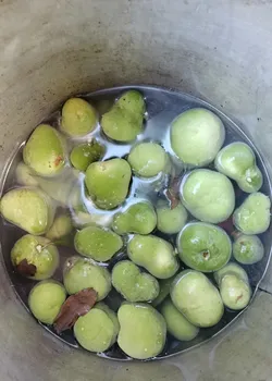 Dấm quả Chay Chua