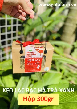 Kẹo Lạc Bạc hà Gotafarm - Hộp mix vị