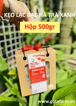 Kẹo Lạc Bạc hà Gotafarm - Hộp mix vị