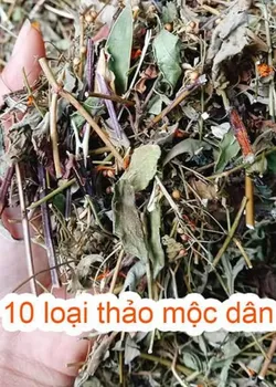 Lá thơm Xông tắm Giải cảm