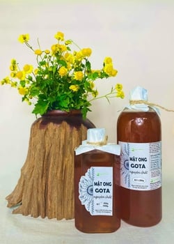 Mật Ong Thô Nguyên Chất GOTA - Mật Hoa Cafe