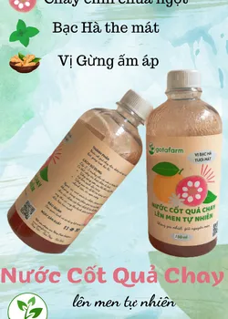 Nước cốt quả Chay lên men