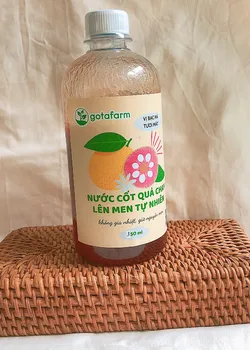 Nước cốt quả Chay lên men