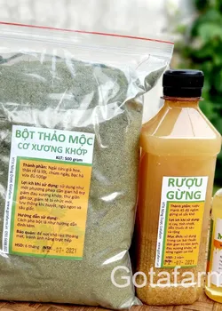 Bột đắp Cơ Xương Khớp