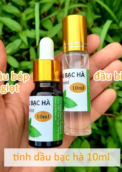 Tinh dầu Bạc Hà 10ml đầu bi lăn