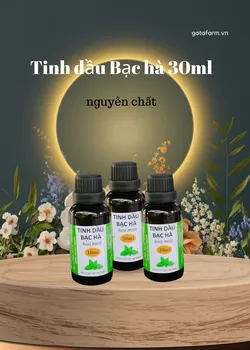 Tinh dầu Bạc Hà nguyên chất GOTAFARM