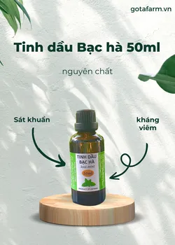 Tinh dầu Bạc Hà nguyên chất GOTAFARM