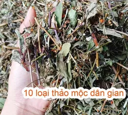 Lá thơm Xông tắm Giải cảm 10 loại thảo mộc