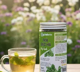 Trà Bạc hà sấy lạnh Gotafarm