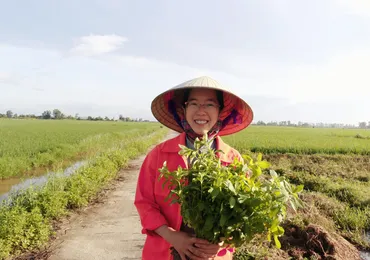 Quy trình sản xuất của Gotafarm