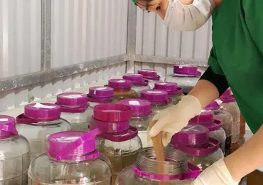 Gương mặt nhân sự Gotafarm - Hạnh Ưa Hành