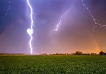 Mưa Dông Đầu Hạ Và Sự Xanh Tốt Lạ Thường Của Cây Cỏ