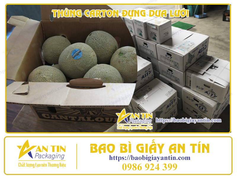 Thùng carton đóng gói dưa lưới Thùng carton đóng gói dưa lưới