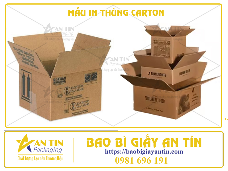Bí Quyết Chọn Các Mẫu In Thùng Carton Phù Hợp Với Đặc Trưng Doanh Nghiệp Của Bạn