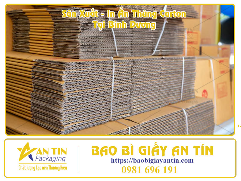 Bao Bì An Tín Địa Chỉ In Thùng Carton Uy Tín Tại Bình Dương Bao Bì An Tín Địa Chỉ In Thùng Carton Uy Tín Tại Bình Dương